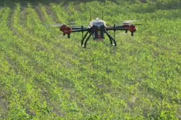 雨季烟田农药使用技巧，选用内吸性或速效性的农药