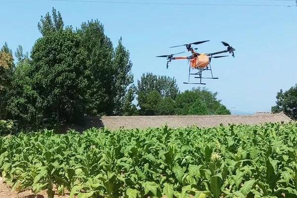 雨季烟田农药使用技巧，选用内吸性或速效性的农药