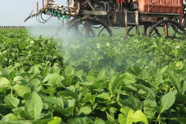 雨季烟田农药使用技巧，选用内吸性或速效性的农药