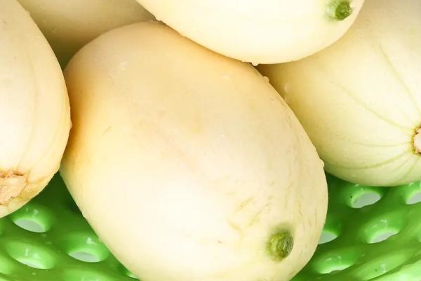 白瓜的收获时间,一般为6月份