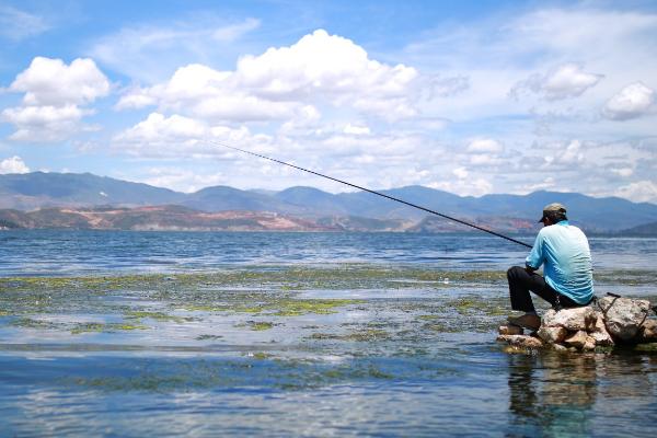 钓鲤鱼的适宜气温,一般为20-30℃