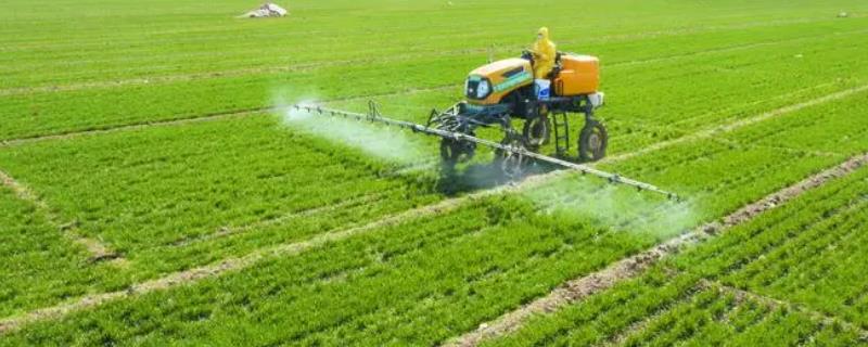 喷施农药注意事项