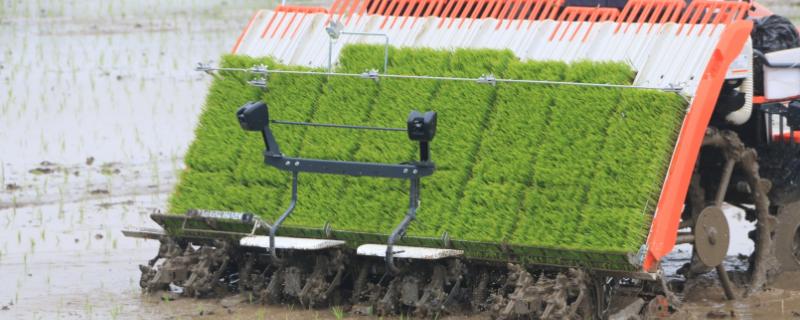 机动插秧机遇到故障怎么解决