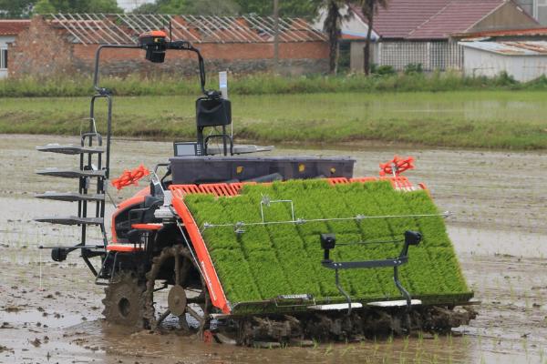 机动插秧机遇到故障怎么解决,需根据实际情况逐一排除
