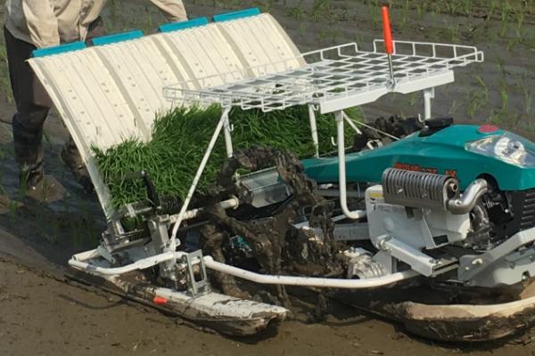 机动插秧机遇到故障怎么解决,需根据实际情况逐一排除