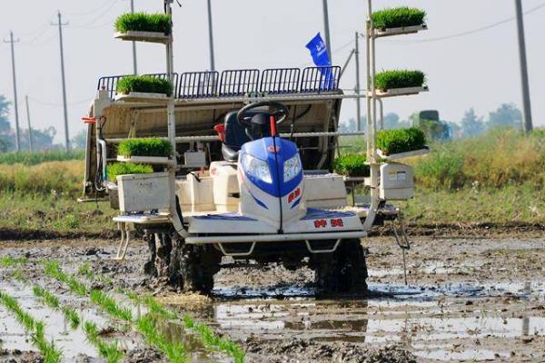 机动插秧机遇到故障怎么解决,需根据实际情况逐一排除