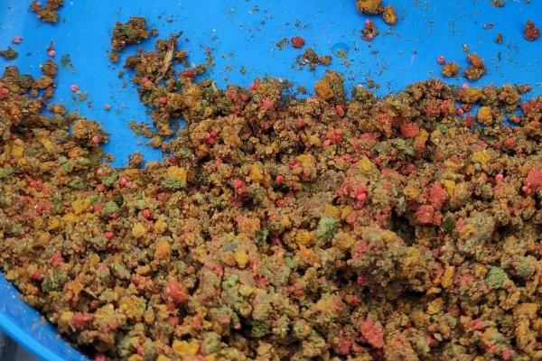 春天钓鲢鳙用什么味型的饵料，建议用腥味或酸味的