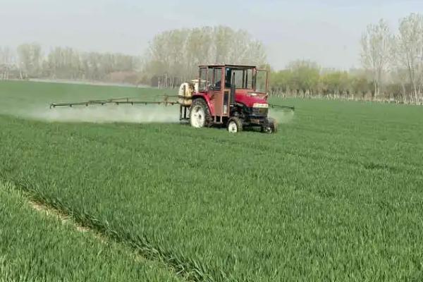 吡虫啉的防治对象,可防治刺吸式口器害虫、双翅目和鳞翅目害虫