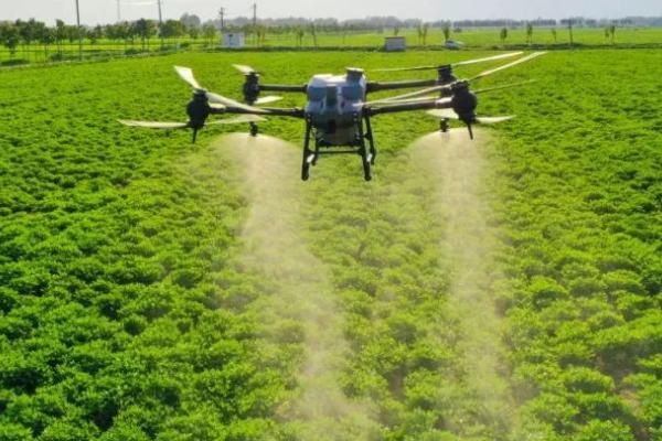 吡虫啉的防治对象,可防治刺吸式口器害虫、双翅目和鳞翅目害虫