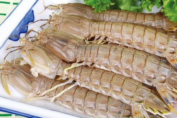 皮皮虾死亡后能否食用,死亡时间超过2小时不可食用