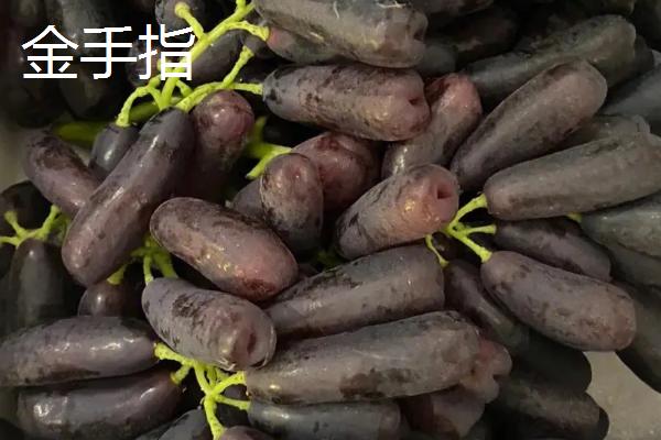 建造一亩葡萄大棚需要投资多少,主要取决于大棚的类型