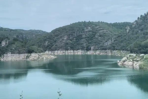 如何判断水库里面有没有翘嘴鱼,觅食时会发出类似鞭炮的声音