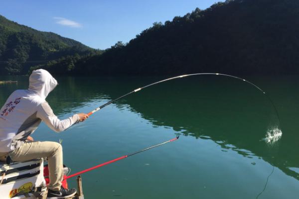 如何判断水库里面有没有翘嘴鱼,觅食时会发出类似鞭炮的声音