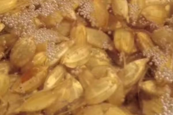 抛秧稻种子怎么处理,先晾晒1-2天、再浸种催芽