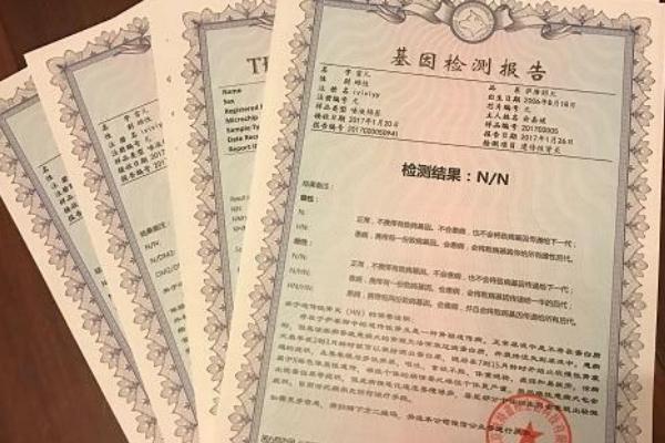 宠物猫如何办理猫证,可持身份证等相关证明前往派出所登记