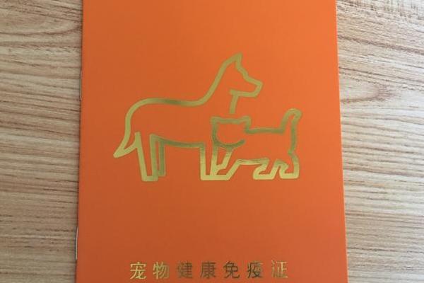 宠物猫如何办理猫证,可持身份证等相关证明前往派出所登记