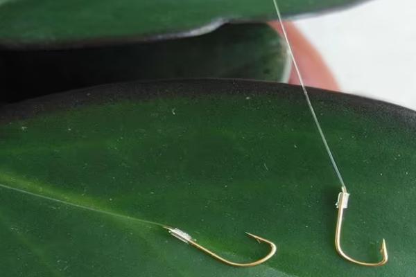 1.5子线能钓多大的鱼,能钓4-5斤左右的鱼