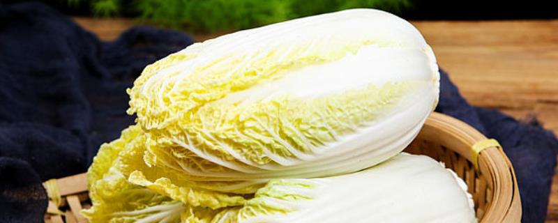 娃娃菜能保存多久