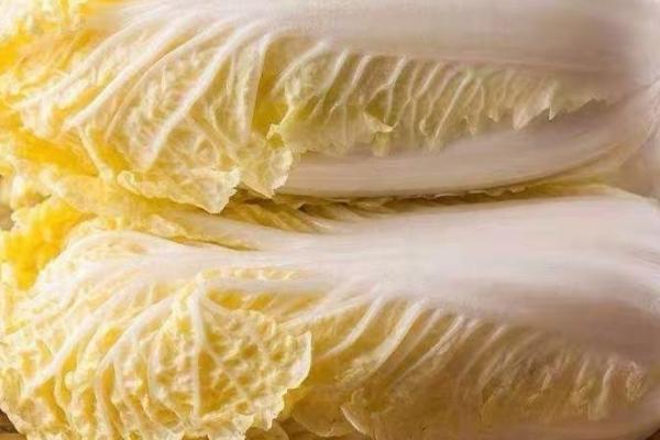 娃娃菜能保存多久,常温下可以保存三天左右