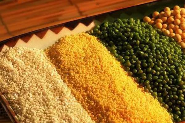 幼鸽喂什么食物,豌豆、谷类、蔬菜均可饲喂