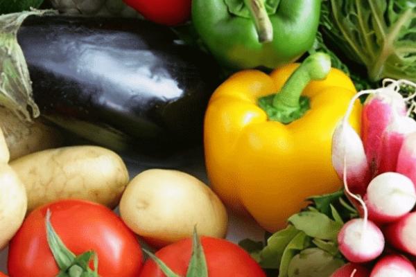 幼鸽喂什么食物,豌豆、谷类、蔬菜均可饲喂