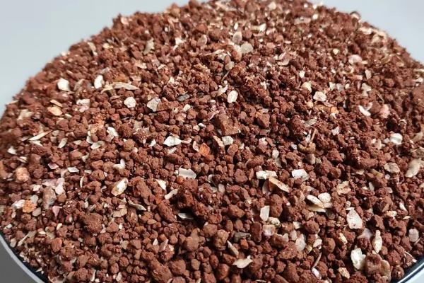 幼鸽喂什么食物,豌豆、谷类、蔬菜均可饲喂