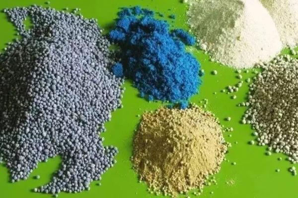 观叶植物的施肥方法,将肥料溶解后可用喷雾装置进行喷施