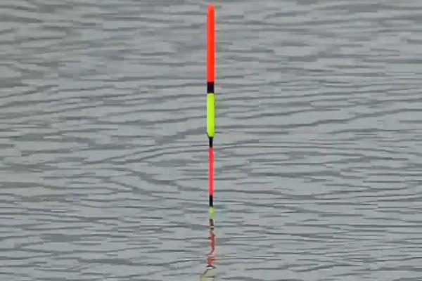 钓鱼漂怎么调整,先重铅找底、再逐渐修剪铅皮