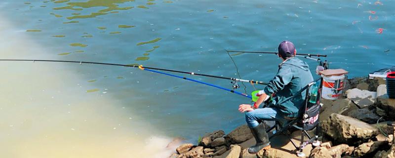 夏天钓鱼饵料用腥还是香
