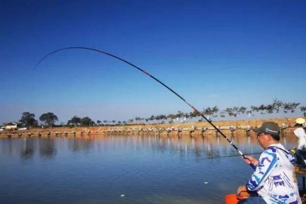 夏天钓鱼饵料用腥还是香,用香味的更合适一些