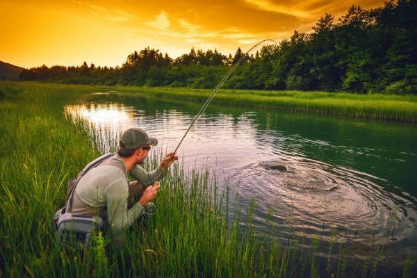 夏天钓鱼饵料用腥还是香,用香味的更合适一些