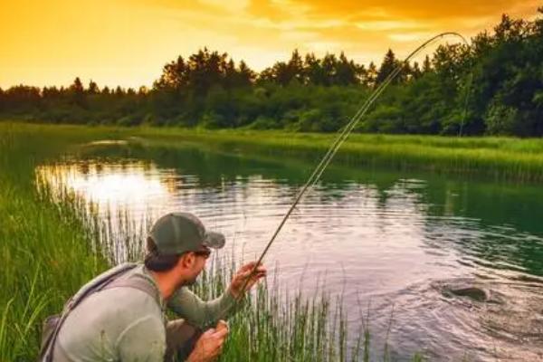 野钓黄尾鱼打窝方法,将窝料撒到选定的窝点即可