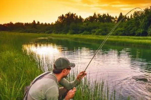 3月份能否垂钓鲢鳙,可以垂钓但效果不佳