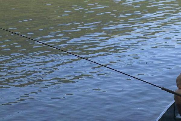 3月份能否垂钓鲢鳙,可以垂钓但效果不佳