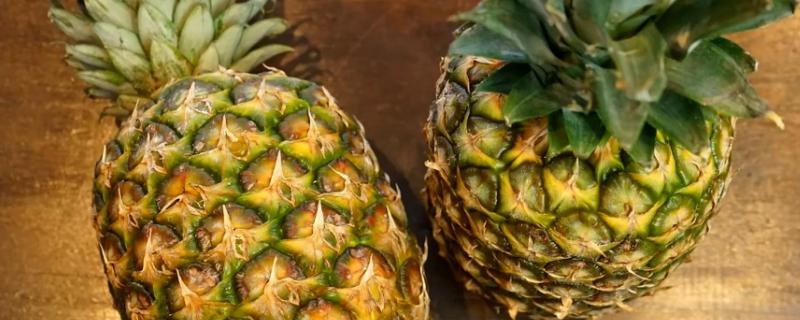 怎么避免菠萝腐烂