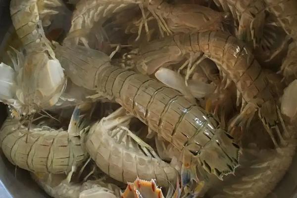 皮皮虾的价格,会受到季节和地区的影响