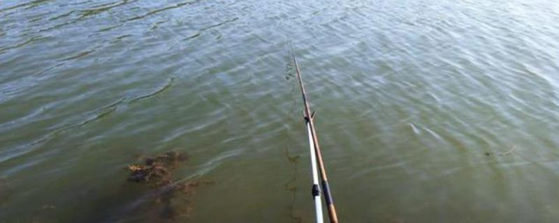 东北风能钓鱼吗