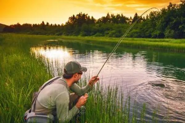 东北风能钓鱼吗,秋季刮东北风时垂钓效果好