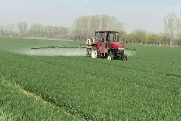 农药为何会对作物产生药害,误用农药、植物处于敏感期、药剂类型选择不当均会引发药害