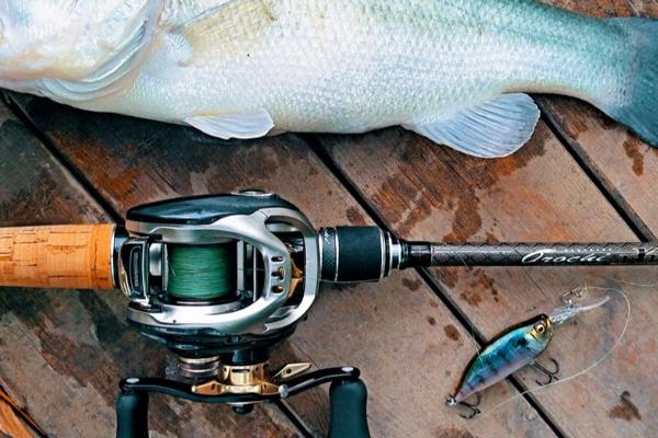 多重的饵适合用来路亚,适宜重量为2-15克