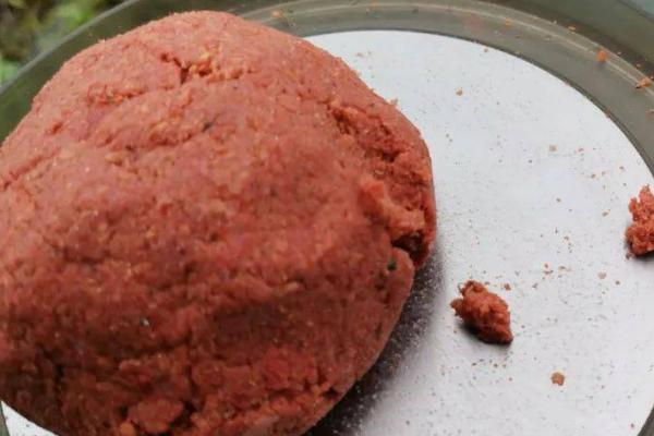 钓鲷鱼需要打窝吗,提前打窝非常有必要