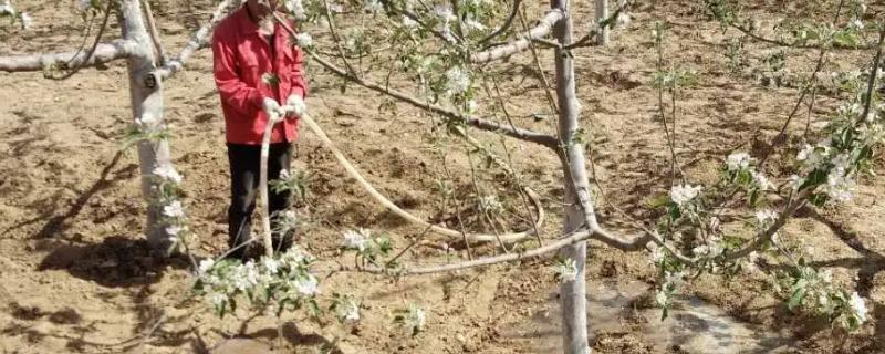 夏季果园防旱方法