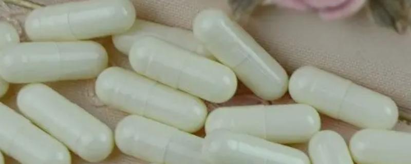 能否直接将硝化细菌胶囊放入鱼缸