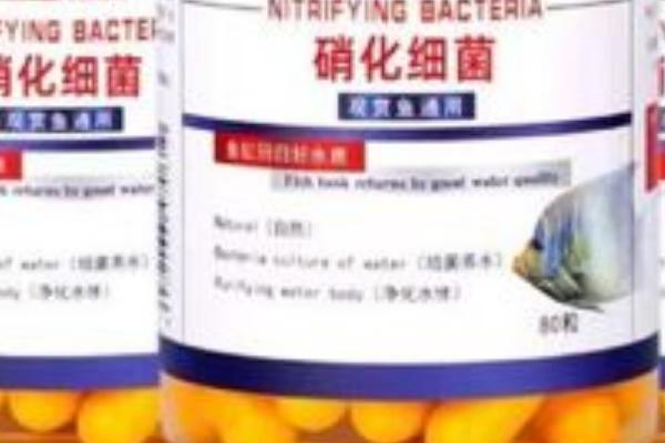 能否直接将硝化细菌胶囊放入鱼缸,打开后可直接放入