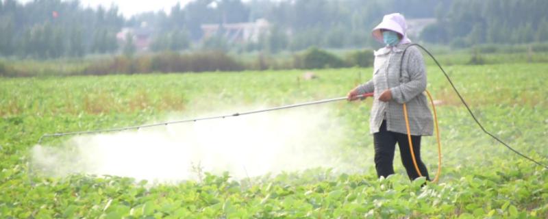 怎么对大豆施肥