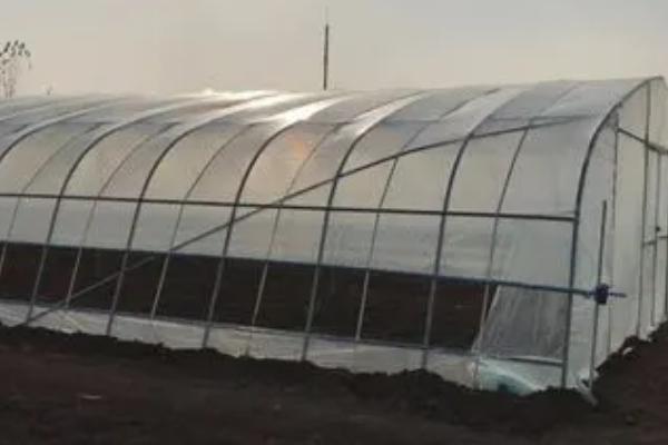 大棚防风害措施,提前对棚面覆盖物进行压实