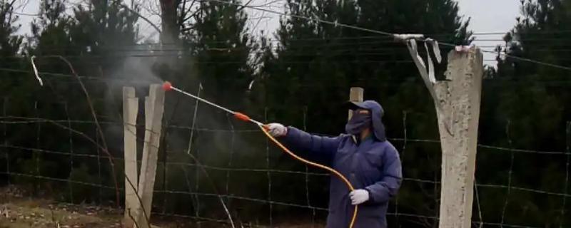 冬天使用农药的要点