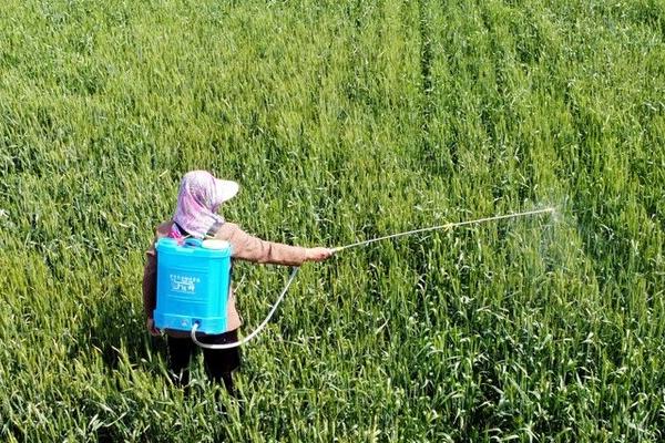 冬天使用农药的要点,可适当提高用药浓度