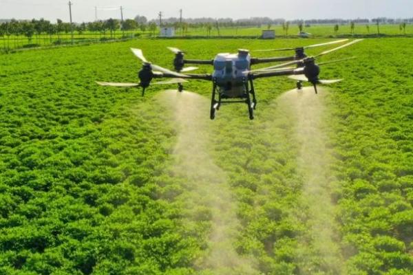 冬天使用农药的要点,可适当提高用药浓度