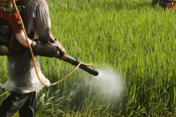 冬天使用农药的要点,可适当提高用药浓度